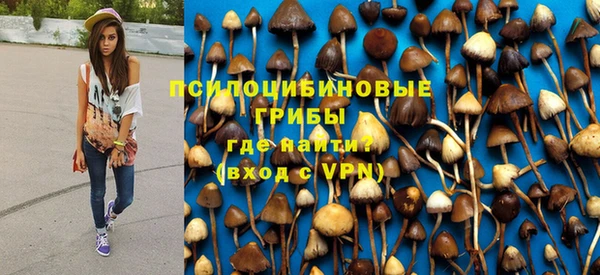 мяу мяу мука Аркадак