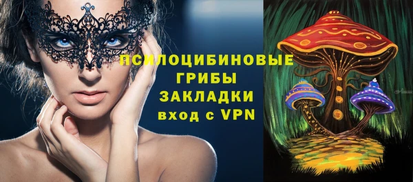 мяу мяу мука Аркадак