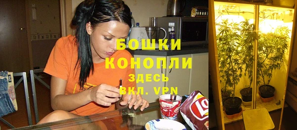 гашик Армянск