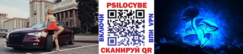 Галлюциногенные грибы мицелий  Губкин 